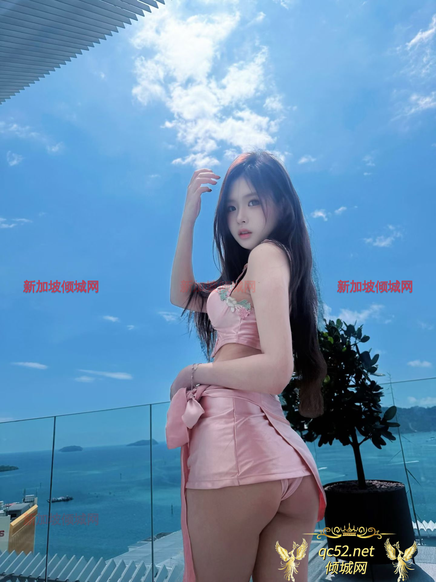 CheLiZi-车厘子 Head Image