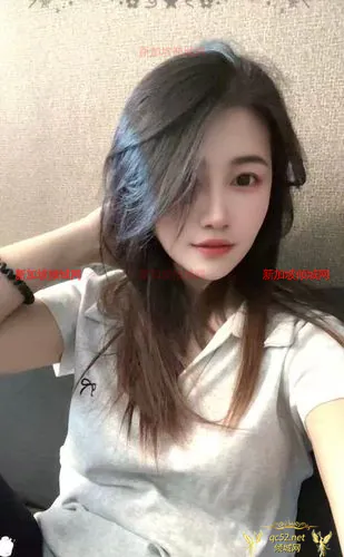 New Escort - ShanXi-珊汐